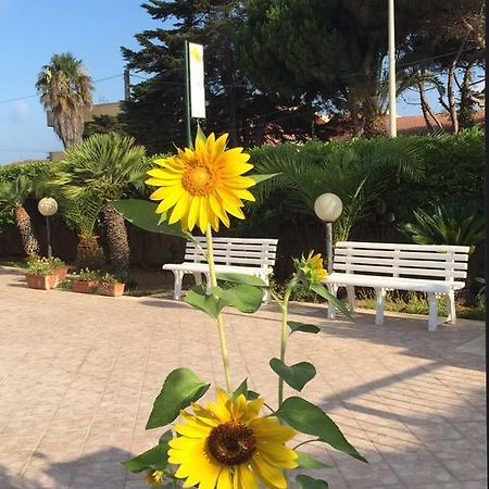 B&B Fiori Gialli Caucana サンタ・クローチェ・カメリーナ エクステリア 写真
